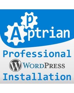 Professional WordPress Installation